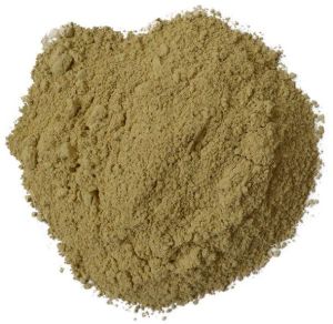 Bhoomi Amla Powder