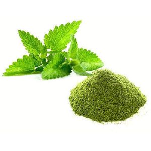 Dehydrated Mint Powder