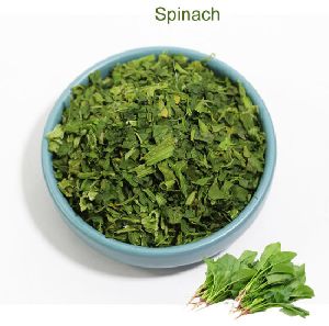 Dehydrated Spinach Flakes