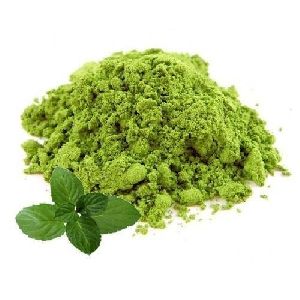 Mint Leaves Powder