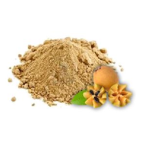 Spray Dried Chikoo Powder