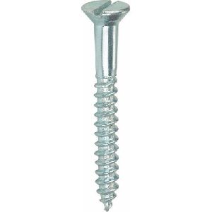 Stainless Steel Screw