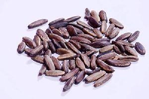Gulmohar Seeds