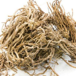 Dried Vetiver Root