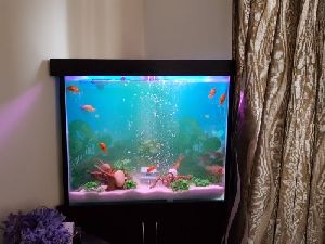 Square Shape Fish Aquarium Tank
