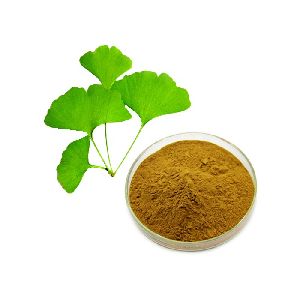 24% Flavonoids 6% Lactones 5ppm Ginkgo Biloba Leaf Extract Powder