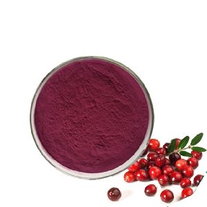 Cranberry Extract Powder 5%, 10%, 25% Proanthocyanidins &amp;amp; Anthocyanins