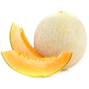 fresh muskmelon