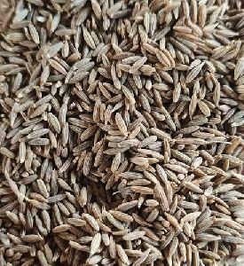 Europe Cumin Seeds