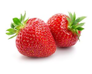 Camarosa Strawberries plants
