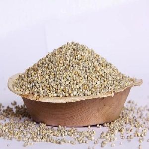 Pearl Millet Seeds