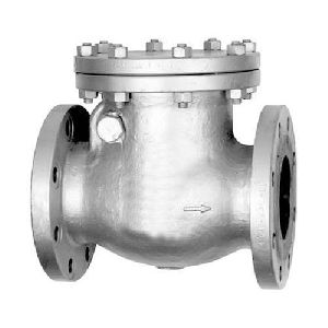 Cast Steel Check Valve