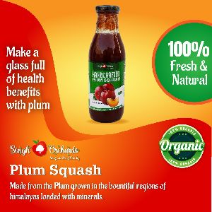 Plum Squash