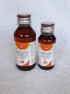 Dextromethorphan Hydrobromide, Phenylephrine Hydrobromide & Chlorpheniramine Maleate Syrup