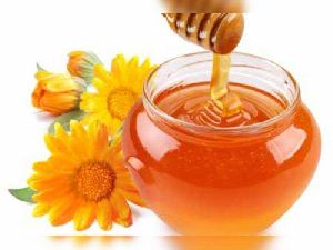 Sunflower Honey