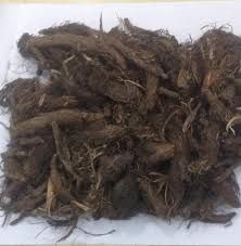 Jatamasi Dry Root