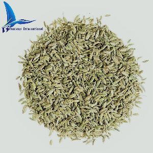 fennel seeds