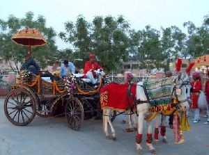 South Indian Horse Carriage