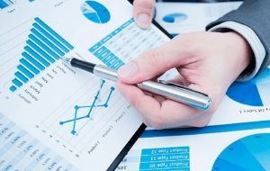 Bank Statement Analyzer