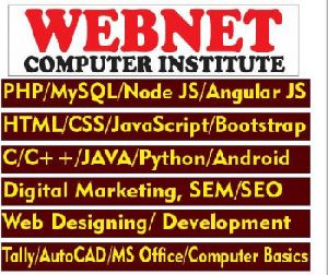 Web Designing And Development Training Institute