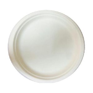 Bagasse Disposable Plates