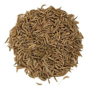 Caraway Seeds