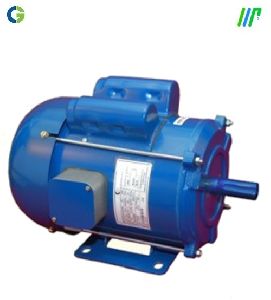 electric motor