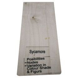 Sycamore Wood