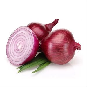 fresh onion