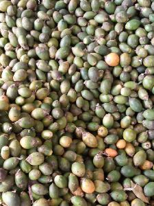 Assam Areca Nuts
