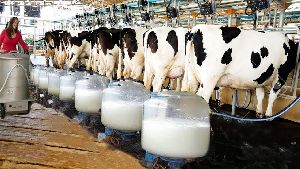 Dairy Farming Machine