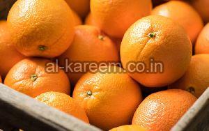 Citrus Fruit