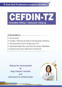 Cefdin-TZ INJ 1000
