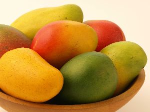 Malda Mango