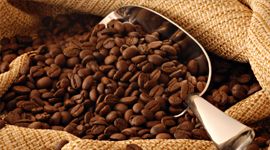 roasted coffee beans