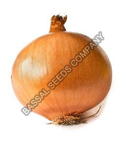 Pusa Red Fursungi Onion Seeds