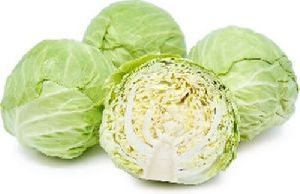 Fresh Cabbage