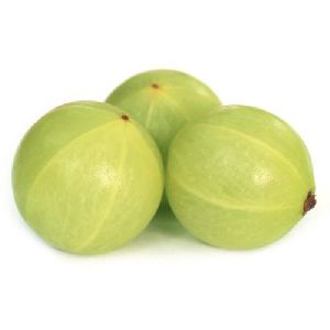 Fresh Amla