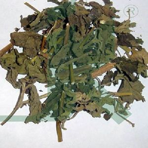 Dried Patchouli Leaves