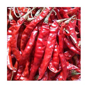 Dry Red Chilli - Red Chilli Powder Manufacturer