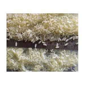 Non Basmati Rice - Ir64 Parboiled Rice Exporter