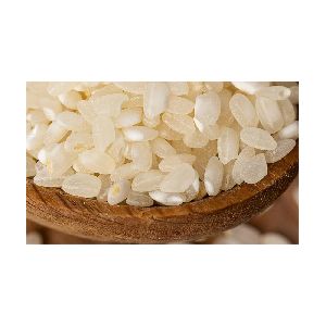 Short Grain Rice - Exporters in India