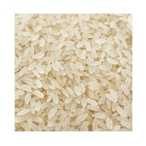 Short Grain Rice - Manufacturers & Suppliers in India
