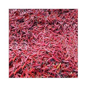 Teja Chilli | Products | Optimum Spices