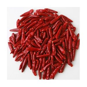 Teja Stemless Dry Red Chilli Manufacturers