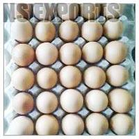 Brown Eggs