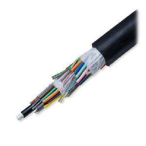 24F Fiber Optic Cable