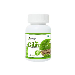 Giloy Capsules - Immunity Booster