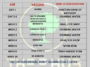 Poultry Vaccination Service