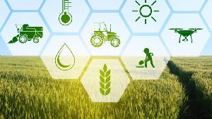 Agriculture Farming Sector